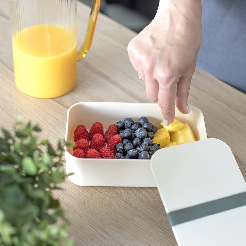Livoo MEN422V - luftdichte Lunchbox